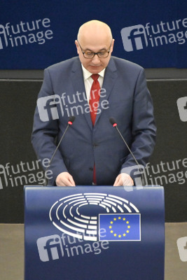 Plenartagung zur Todestrafe im Iran im EU-Parlament in Straßburg