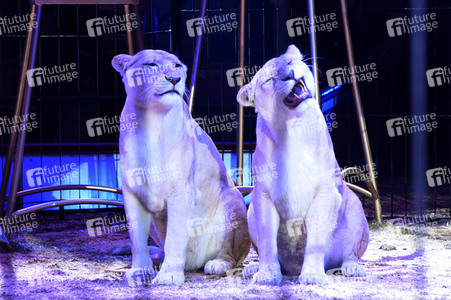 Vorpremiere vom Circus Krone Winterprogramm 'New Memories' in München