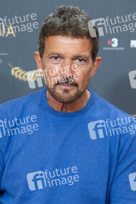 Photocall 'Official Competition' in Madrid