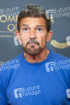 Photocall 'Official Competition' in Madrid
