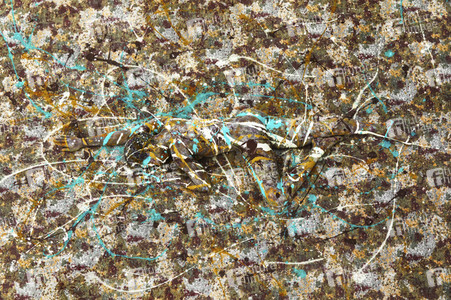 DIVERSE PEOPLE ART Kunstperformance-Serie