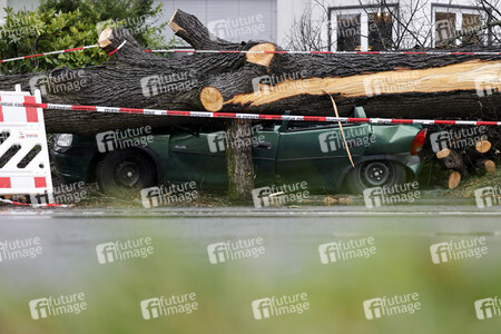 Symbolfoto Sturmschäden
