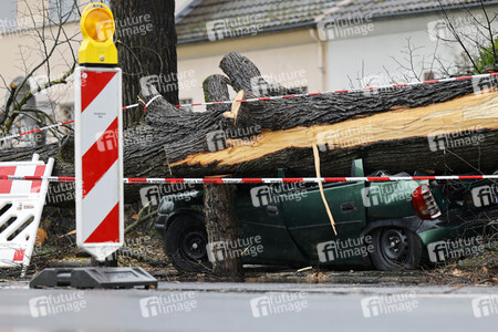 Symbolfoto Sturmschäden