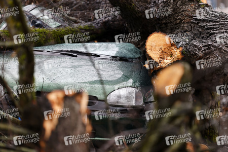 Symbolfoto Sturmschäden