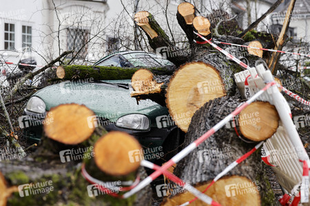 Symbolfoto Sturmschäden