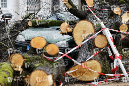 Symbolfoto Sturmschäden