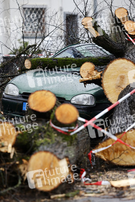 Symbolfoto Sturmschäden