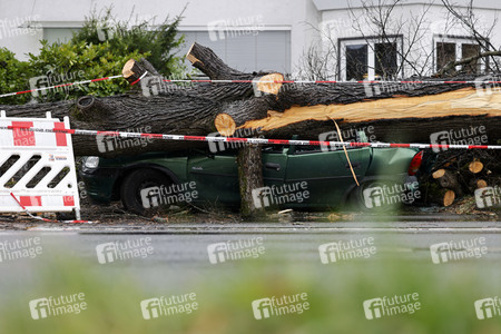 Symbolfoto Sturmschäden