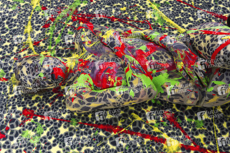 DIVERSE PEOPLE ART Kunstperformance Disability