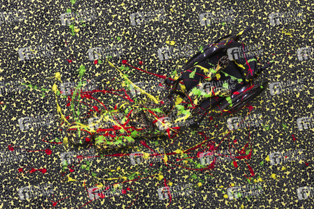 DIVERSE PEOPLE ART Kunstperformance Disability