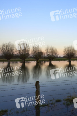 Hochwasser in Garbsen