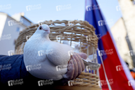 Friedensdemo am Rosenmontag in Köln