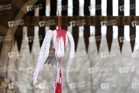 Friedensdemo am Rosenmontag in Köln
