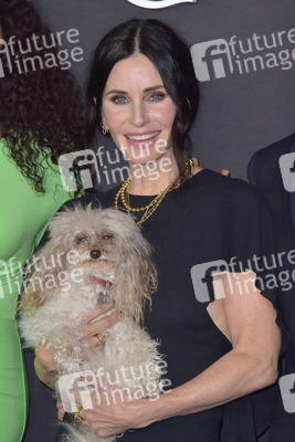 Serienpremiere 'Shining Vale' in Los Angeles