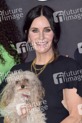 Serienpremiere 'Shining Vale' in Los Angeles