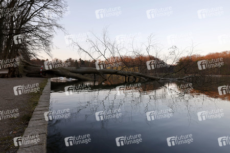 Symbolfoto Sturmschäden