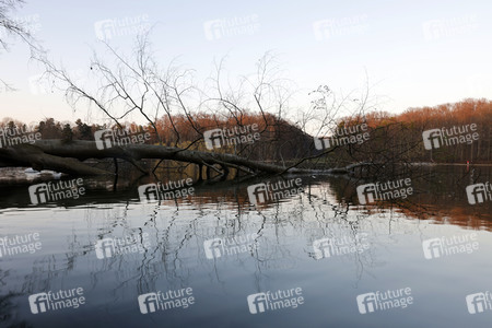 Symbolfoto Sturmschäden