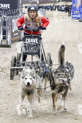 Baltic Lights 2022 auf Usedom
