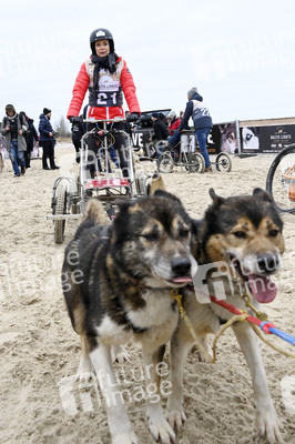 Baltic Lights 2022 auf Usedom