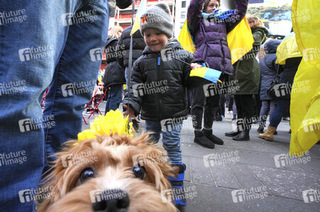 Ukraine Demo In New York