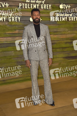 Serienpremiere 'The Last Days of Ptolemy Grey' in Los Angeles
