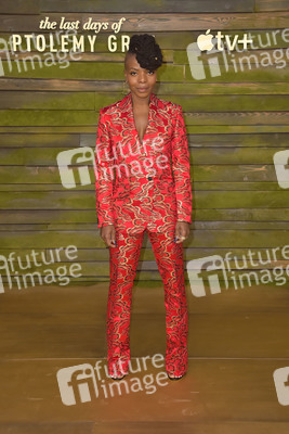 Serienpremiere 'The Last Days of Ptolemy Grey' in Los Angeles