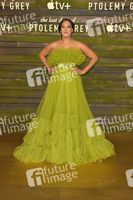 Serienpremiere 'The Last Days of Ptolemy Grey' in Los Angeles