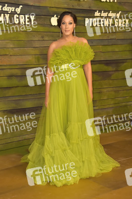Serienpremiere 'The Last Days of Ptolemy Grey' in Los Angeles