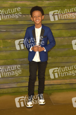 Serienpremiere 'The Last Days of Ptolemy Grey' in Los Angeles
