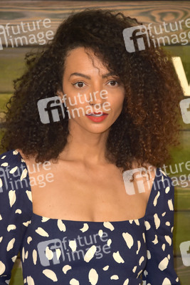 Serienpremiere 'The Last Days of Ptolemy Grey' in Los Angeles