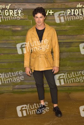 Serienpremiere 'The Last Days of Ptolemy Grey' in Los Angeles