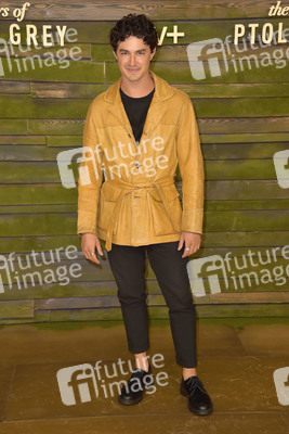 Serienpremiere 'The Last Days of Ptolemy Grey' in Los Angeles
