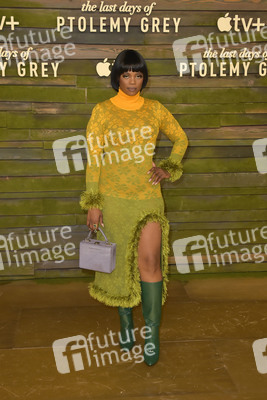 Serienpremiere 'The Last Days of Ptolemy Grey' in Los Angeles