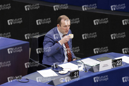 Plenartagung im EU-Parlament in Straßburg