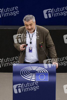 Plenartagung im EU-Parlament in Straßburg