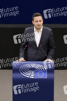 Plenartagung im EU-Parlament in Straßburg