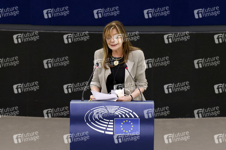 Plenartagung im EU-Parlament in Straßburg