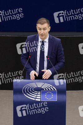 Plenartagung im EU-Parlament in Straßburg