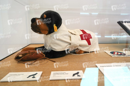 Ausstellung 'Dogs of War and Peace' in New York
