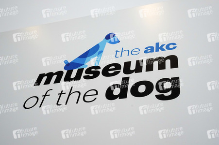 Ausstellung 'Dogs of War and Peace' in New York