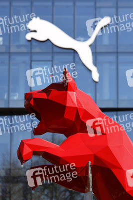 Symbolfoto Puma
