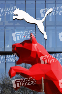 Symbolfoto Puma