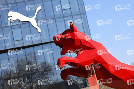 Symbolfoto Puma