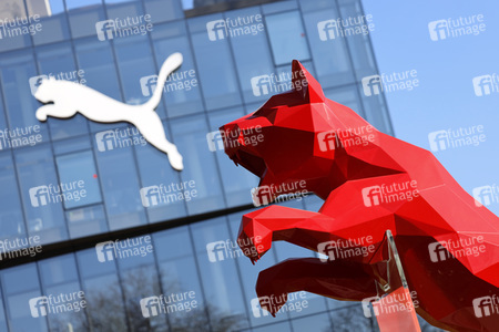 Symbolfoto Puma