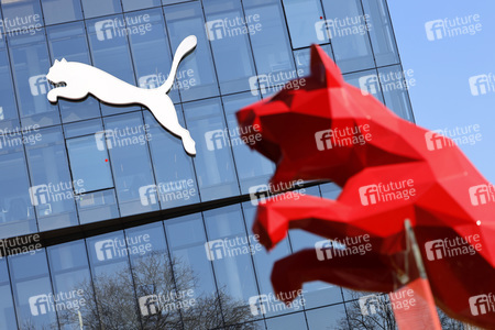 Symbolfoto Puma
