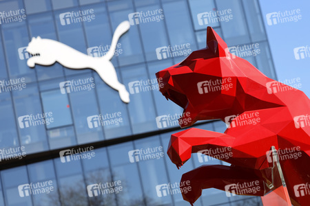 Symbolfoto Puma