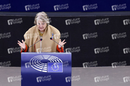 Plenartagung im EU-Parlament in Straßburg