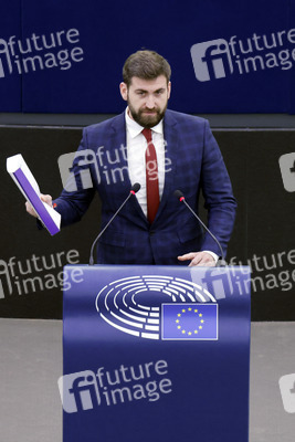 Plenartagung im EU-Parlament in Straßburg