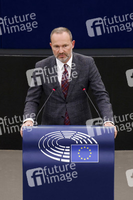 Plenartagung im EU-Parlament in Straßburg