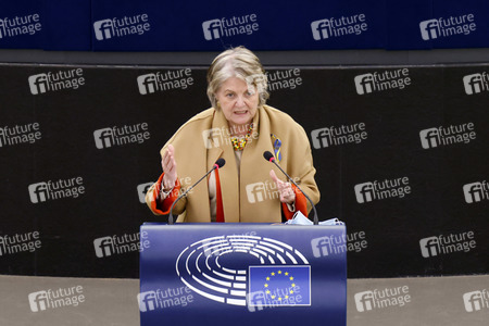 Plenartagung im EU-Parlament in Straßburg